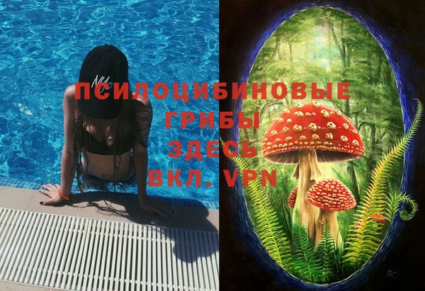 прущая мука Алексин